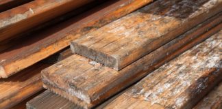 Tips Mencegah Jamur Merusak Furniture Berbahan kayu