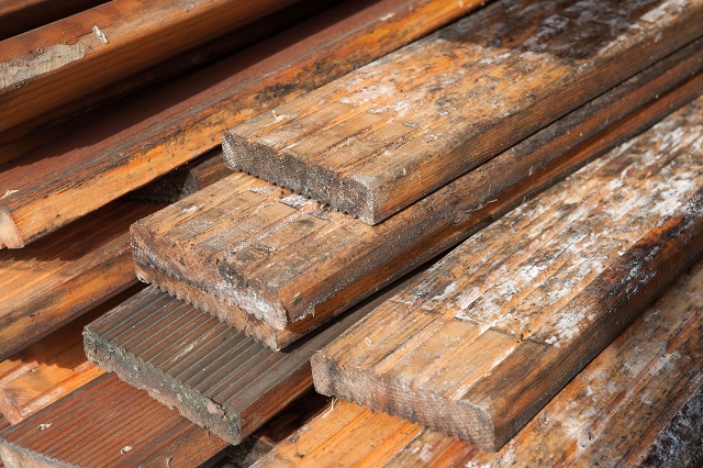 Tips Mencegah Jamur Merusak Furniture Berbahan kayu